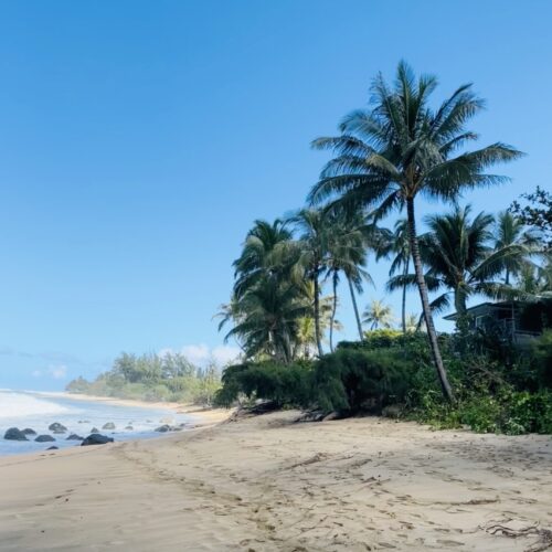 A white sand beach with rocks at the ocean's edge to the left and a row of palm trees to the right